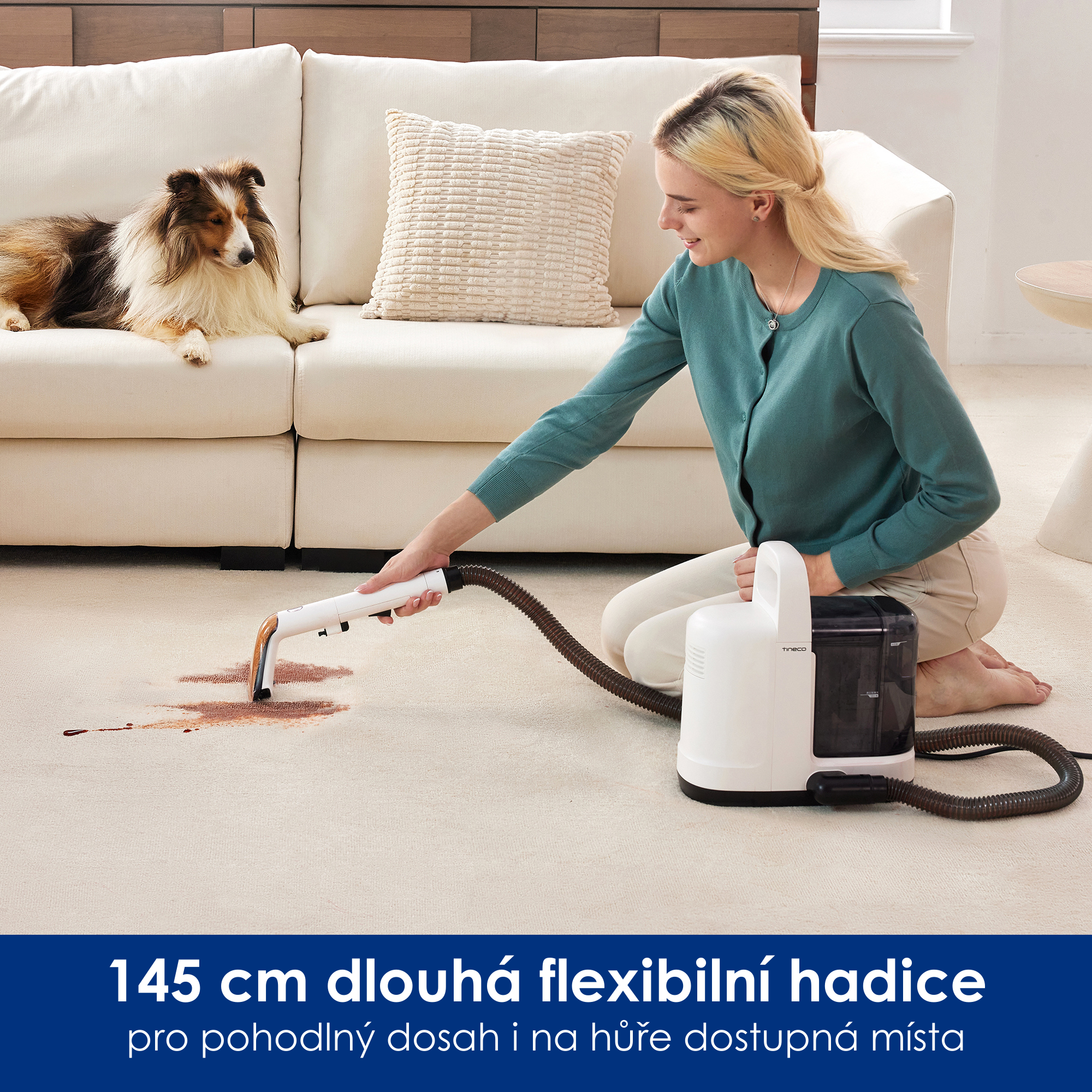 Tineco iCarpet Spot Cleaner (P1) cs pos7